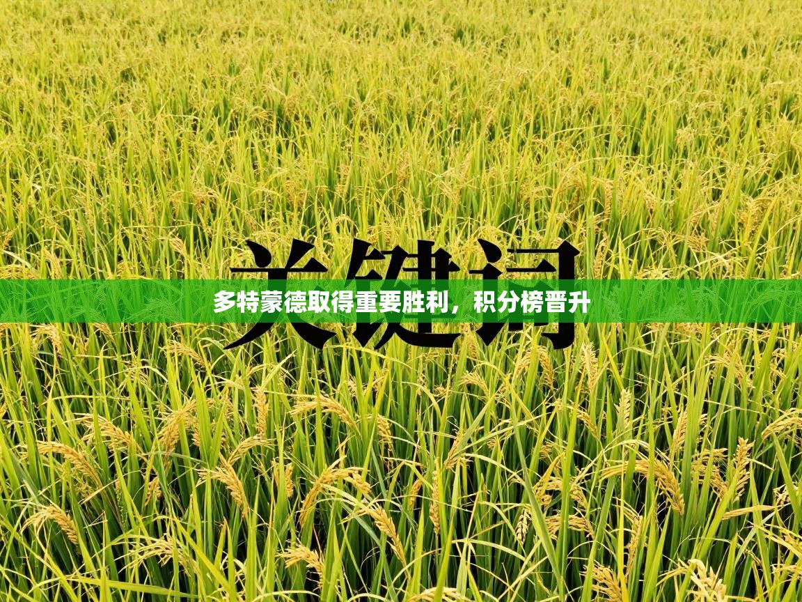 多特蒙德取得重要胜利，积分榜晋升  第1张