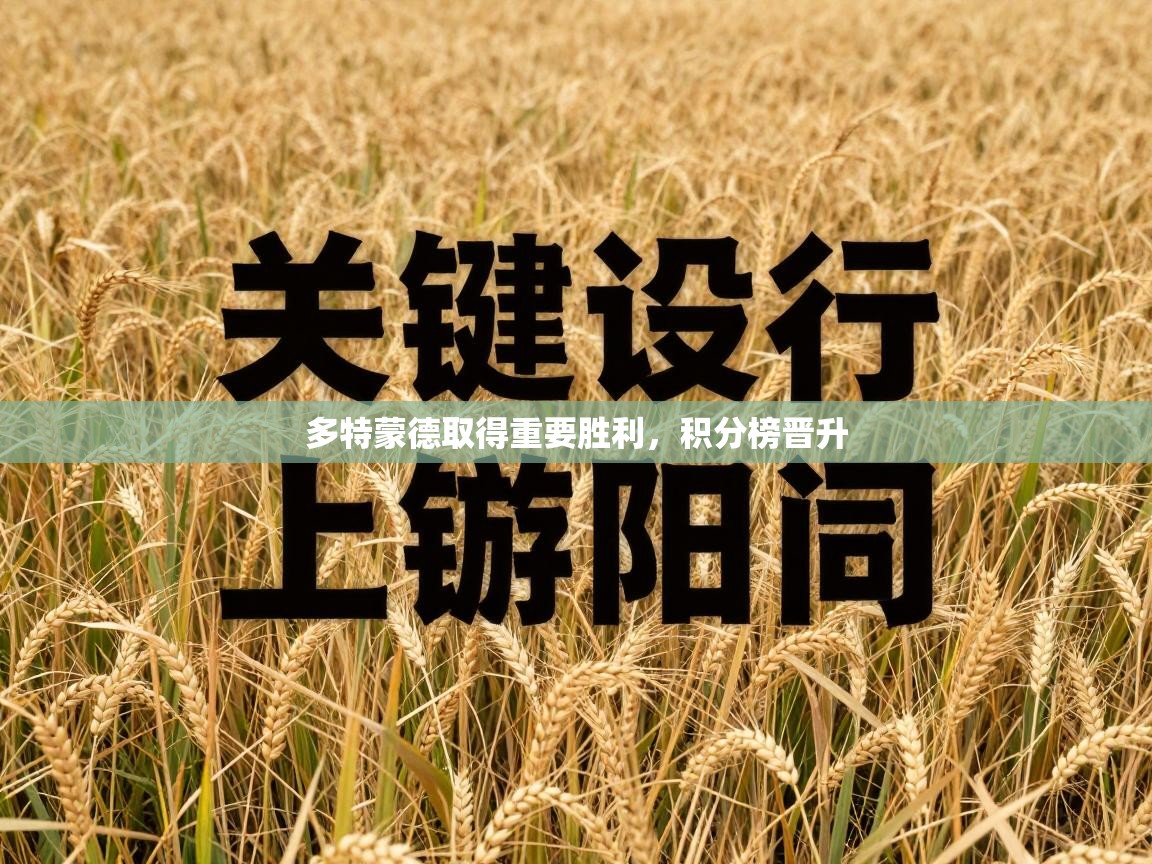 多特蒙德取得重要胜利，积分榜晋升  第2张