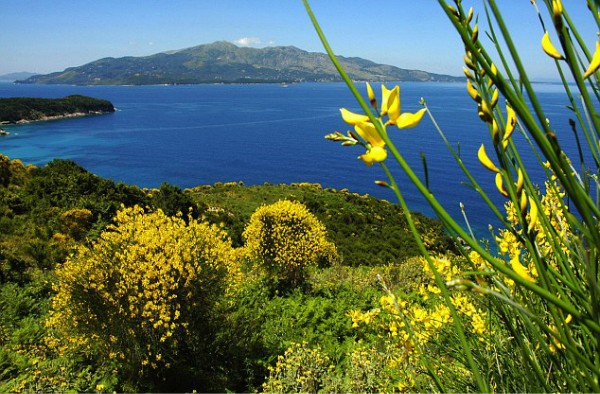 半岛app下载体育-阿尔巴尼亚大胜阿富汗，实力明显胜出的简单介绍