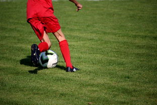 半岛官方体育登录入口-卡尔蒂斯重点培养年轻球员，展望未来世俱杯